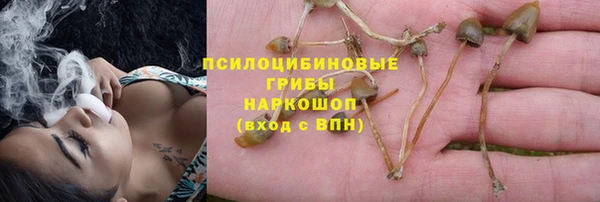 МДПВ Заволжск