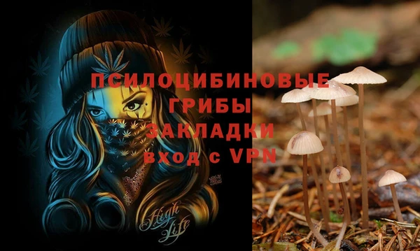 амфетамин Заводоуковск