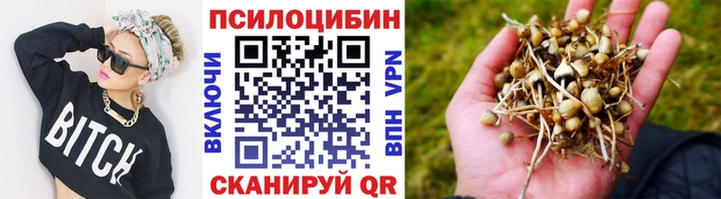 Купить закладки  Менделеевск  Псилоцибиновые грибы мицелий 